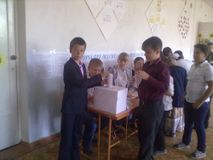 Выборы